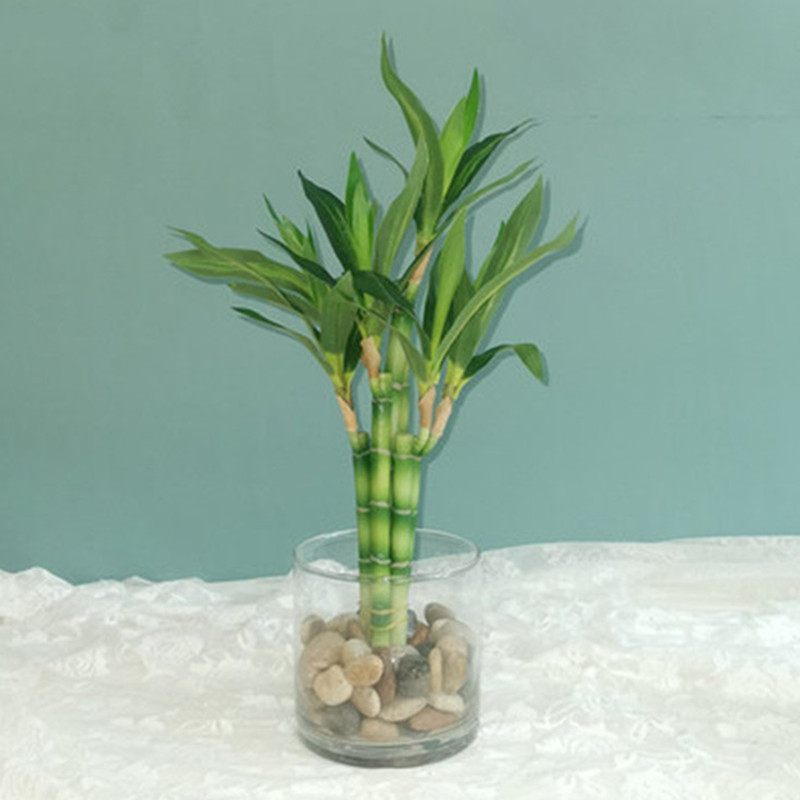 Desk Setup Plants - New 40cm Artificial Lucky Bamboo Succulent