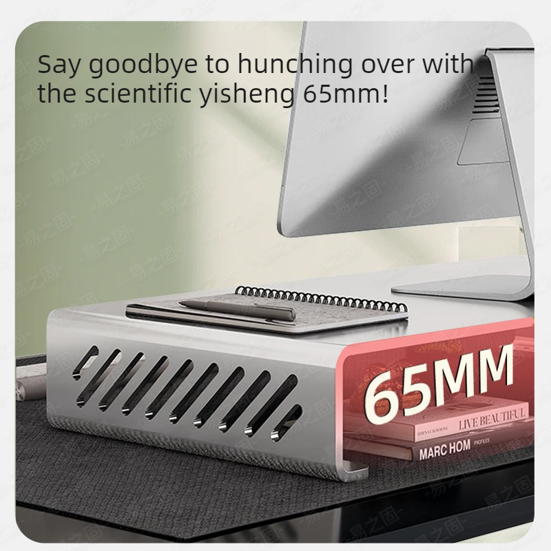 Computer Monitor Stand Riser E - Desk Setup Monitor And Laptop review and price