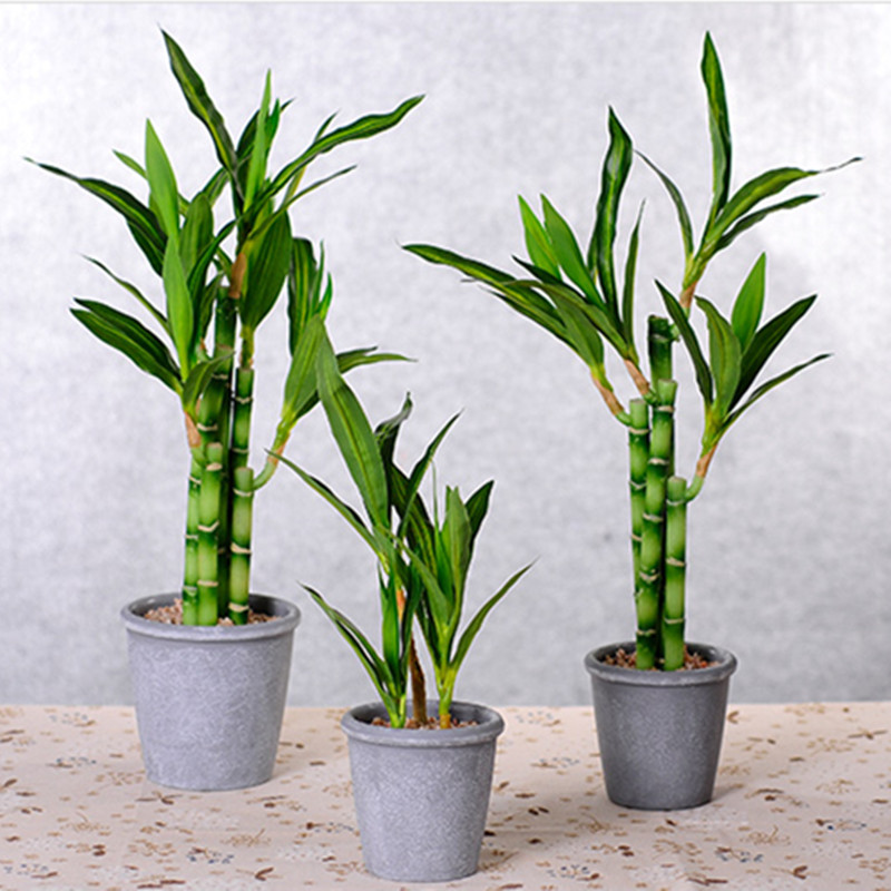 New 40cm Artificial Lucky Bamb - Desk Setup Plants review and price