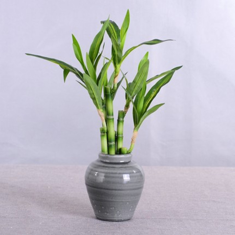 New 40cm Artificial Lucky Bamb - Desk Setup Plants review and price