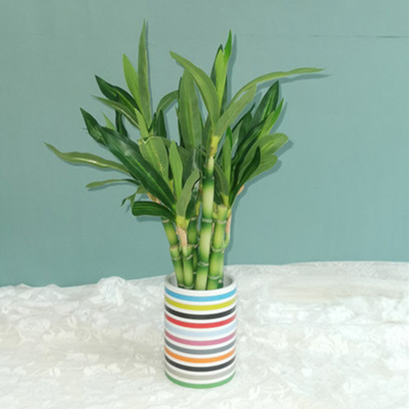 New 40cm Artificial Lucky Bamb - Desk Setup Plants review and price