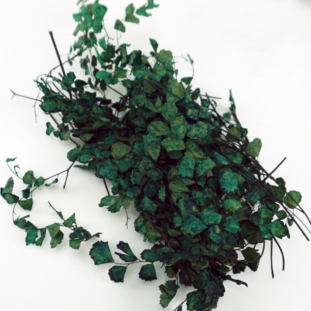 1 Box Scene Model Micro Landsc - Desk Setup Plants review and price